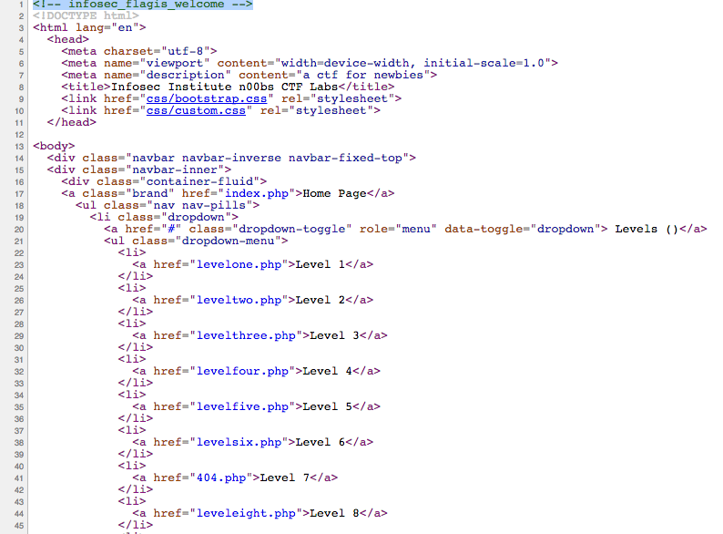 Level 1 - Flag in source code