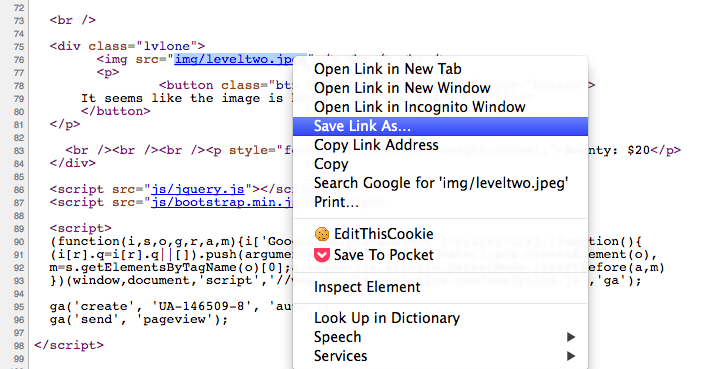 Level 2 - Saving the image